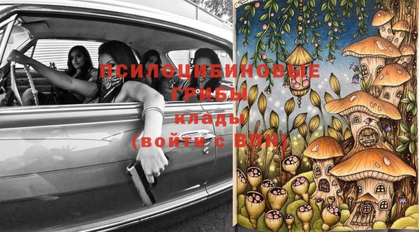 кокс Алзамай