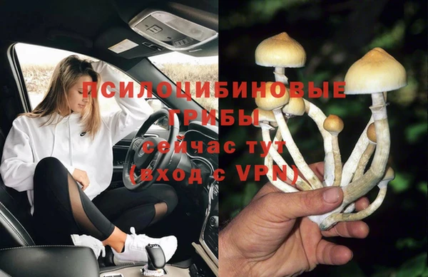 бутират Алексеевка