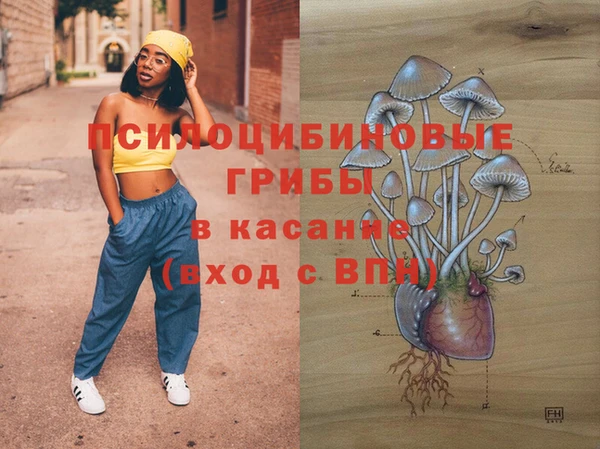 стафф Осташков