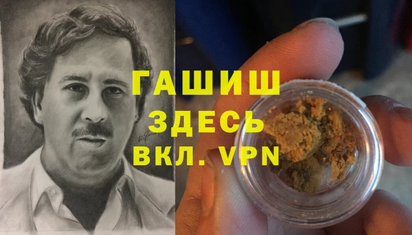 гидра Алексин